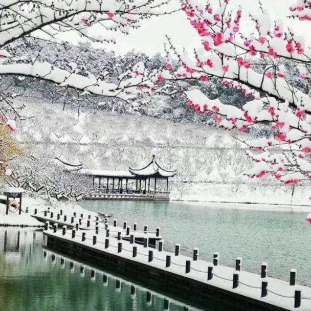 Ųѩ Ųѩ Ͻ 015234ql3m8n0onj8n2xhh