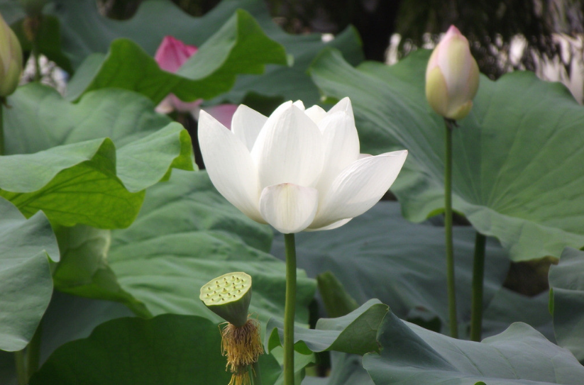   Ͻ 020552nrob7nssohzasblh