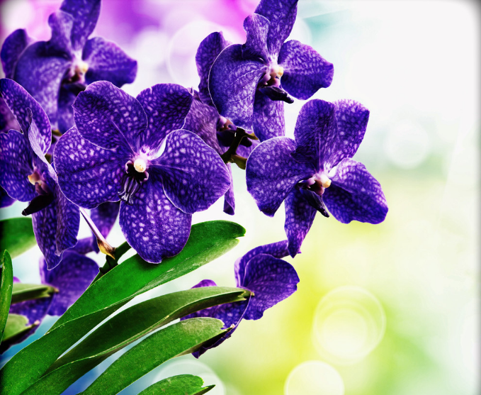 ʿף ,ʿ Ͻ 013935pf3wpjdfbw8148xz