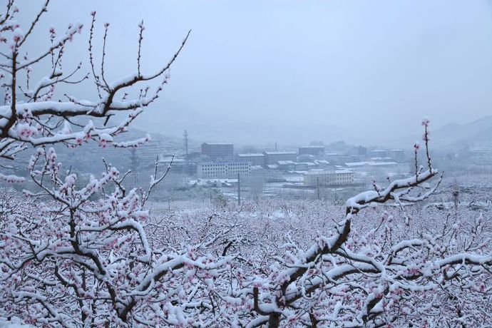 컨ļ ,,ļ ִʫ 173458mfpmjjffpjmkf81i