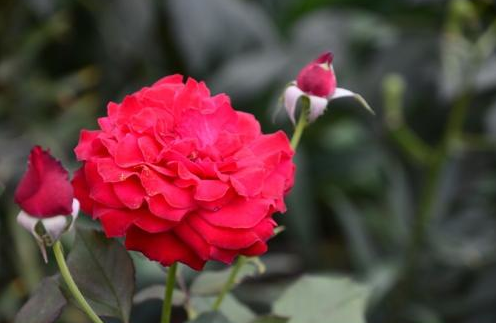 ߾  . õĹʱͬ ߾,ʱ Ͻ 020515s16b6l0lhj0puzzg