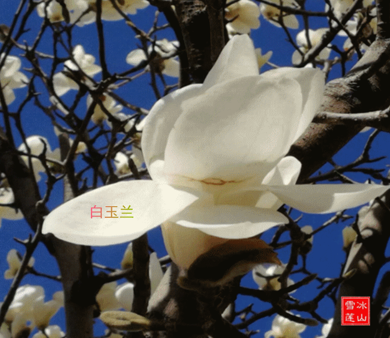 ������  ���Ͻ��� 235303kbav363zfud8ku63