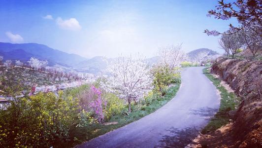 ڴ· ,· ִʫ 213524ujdbu6f966u545jj