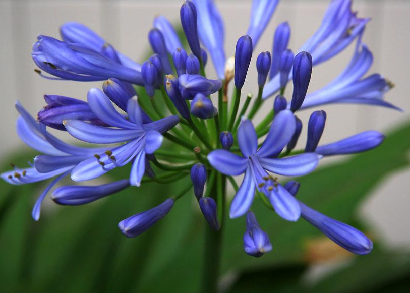 ⣨ף  ԭ׷ 223600olrzjhkhlgrrreg3