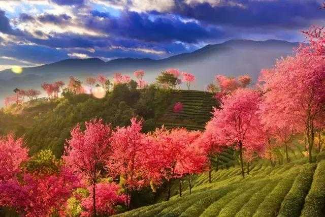 ʲô ,,,ʲô ִʫ 225228nx7kn55nruusax3n