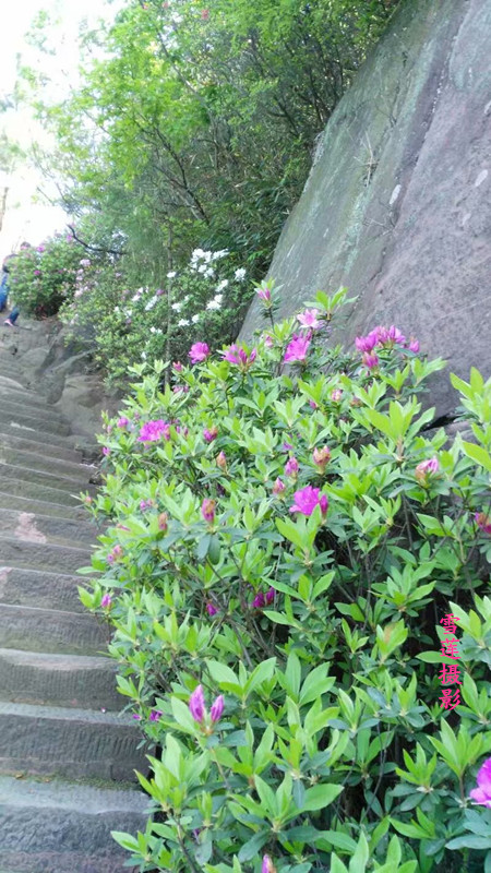 ɽ ,ɽ Ͻ 230259rlr8l84l5pj56l05