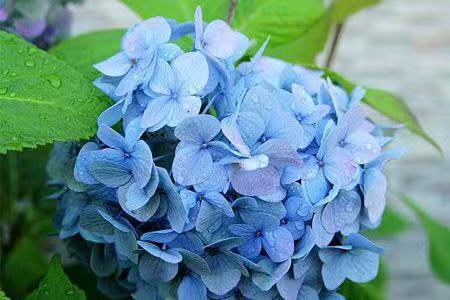 ໨ ໨ ִʫ 230305em32ww0mmlp005l4