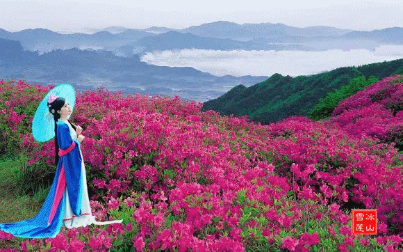  , ԭ׷ 001022an3e3nbx2nx2nw75