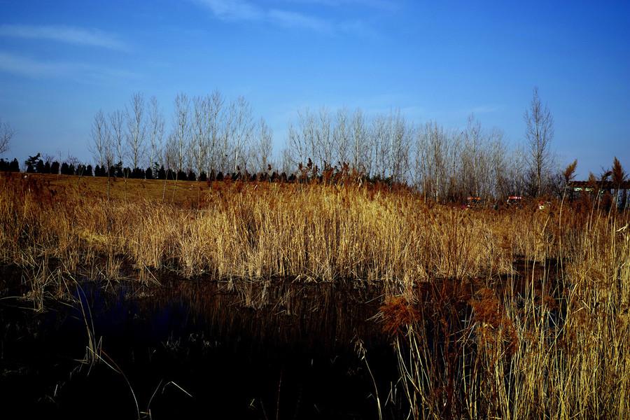 ӡ ,ӡ ִʫ 213719t6tvk66qbcczaaw6