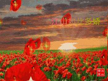 ´ٻ ,ٻ ԭ׷ 214444mg0md70ms44m644h