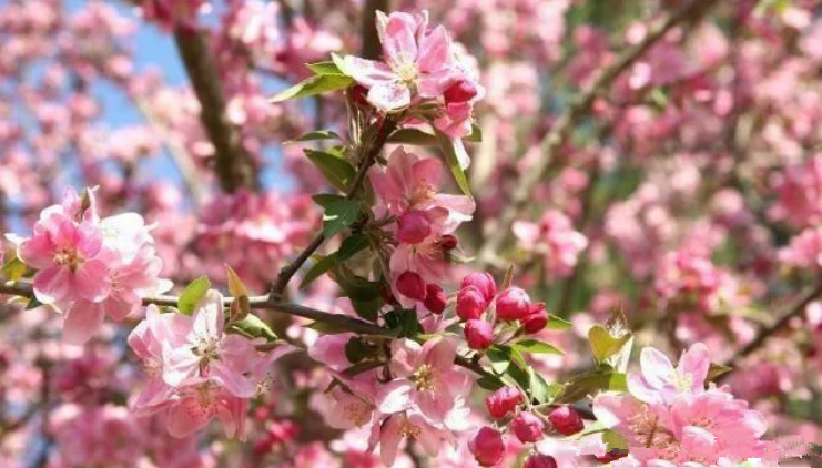   ԭ׷ 174434j57771k8eyk8e6cn