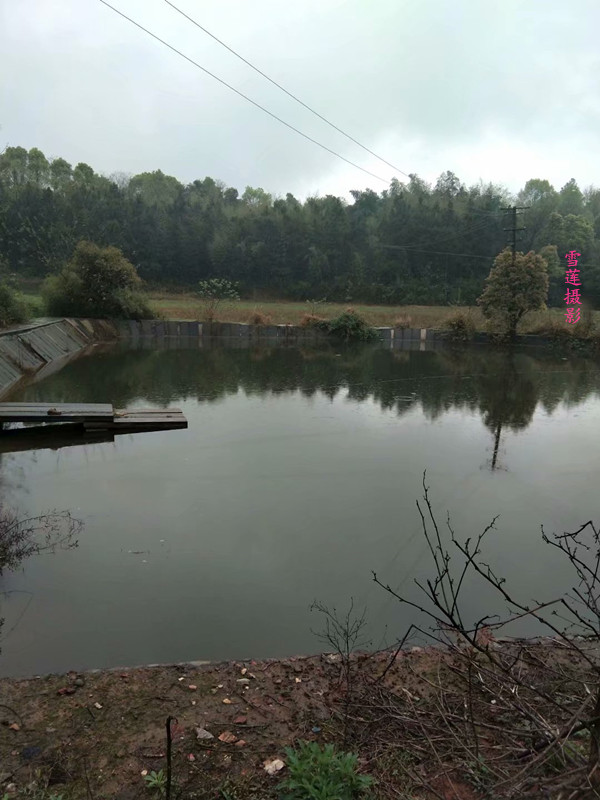   ԭ׷ 233626trhhg49ty00gt9g0