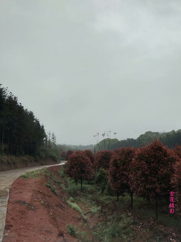 Ͳ  ԭ׷ 235655doayhspkabcjxzzx