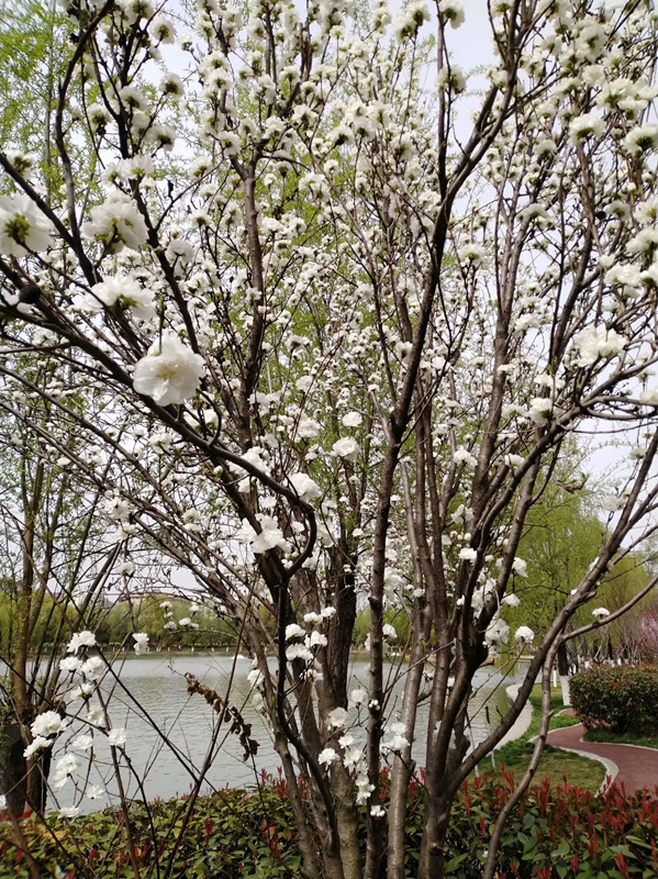 ߾ .  ߾, Ͻ 195609q6f6j2djf2xhd060