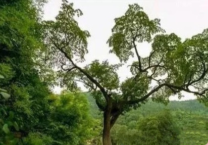 ߾ . ľ ߾,ľ Ͻ 200037xxmxekf5prpakkak