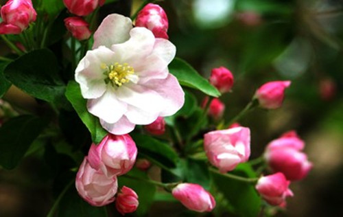 ߾.ĺ  ԭ׷ 213136tu3o3zovuee3gezr