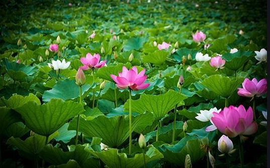 -  Ͻ 233915i56586wcyb3328w3