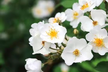 յҰǾޱ ,ҰǾޱ ԭ׷ 220543py2hoiqnq8qddydn