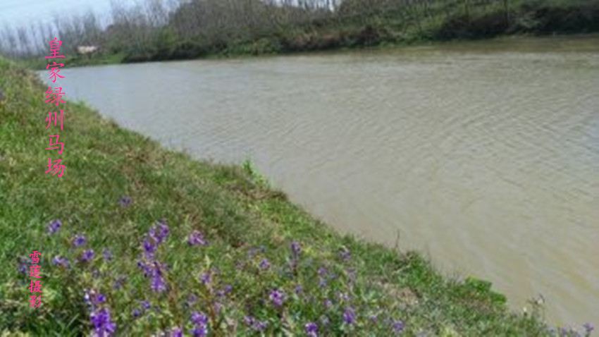 ߾. ----ʼ ߾,, Ͻ 215237kj8sl0vspfvd0hfe