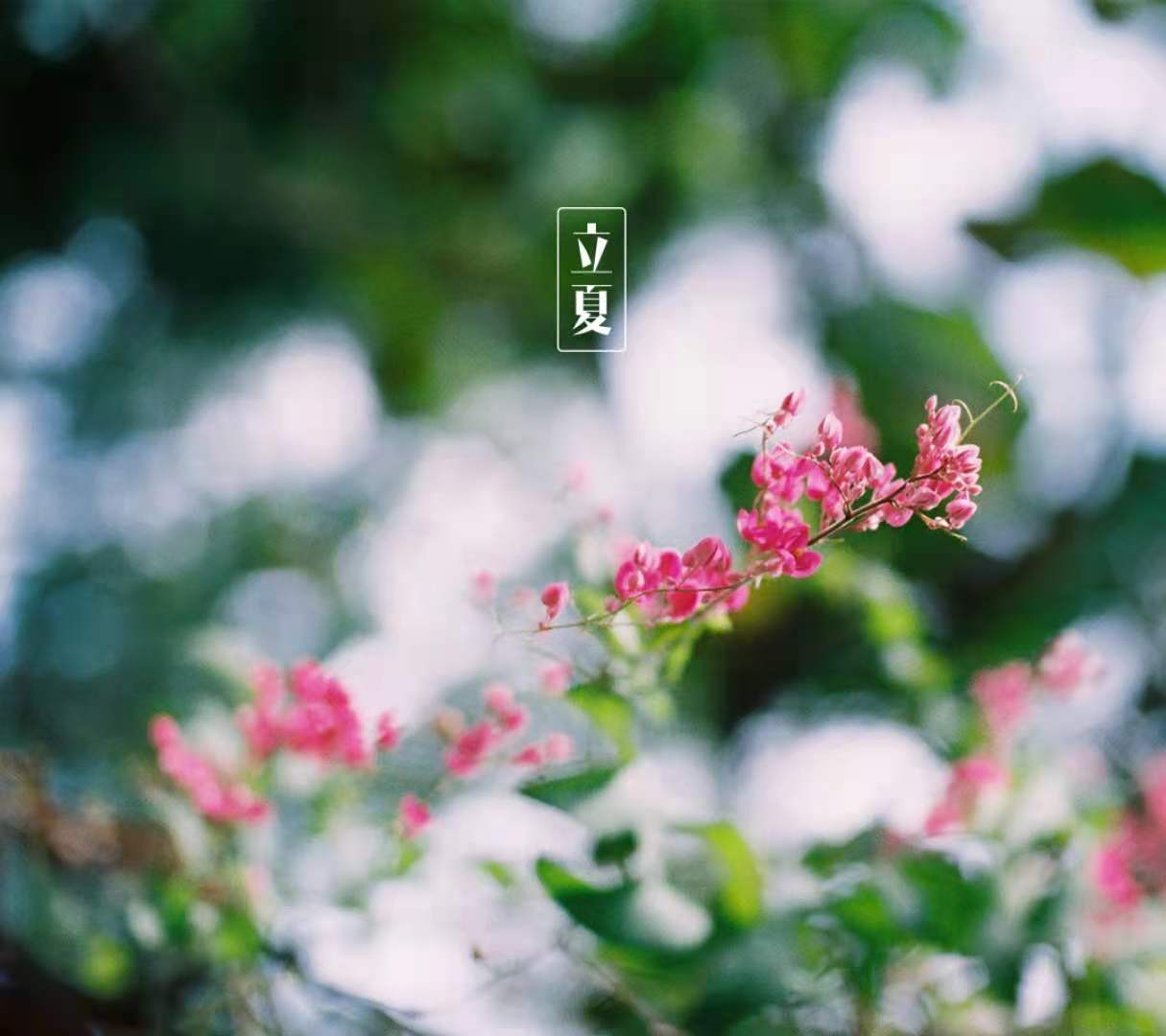  ģӣ ӣ ԭ׷ 180624uv87xcv8lc0a7z7j