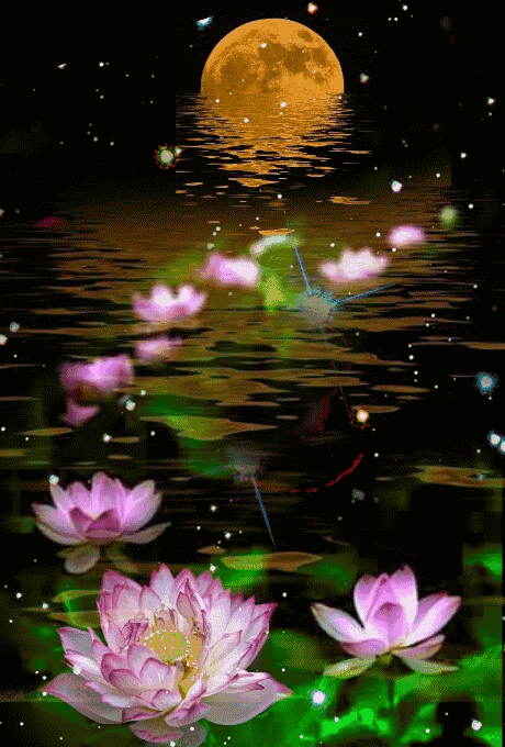  һף ,һ Ͻ 155929a796hltt57oyf6z6