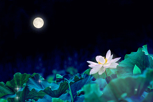 ҹ ,ҹ ԭ׷ 161335wesusuqr1e81c6g3