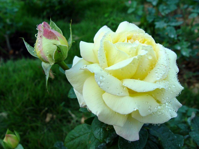 õ  ִʫ 021007hxqzyoxxfe0n4he6