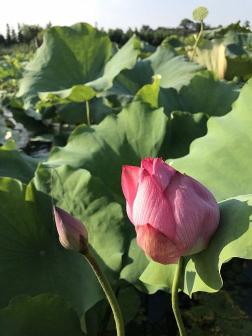 һ  Ͻ 183608xbuzcxnqzsnqumdp