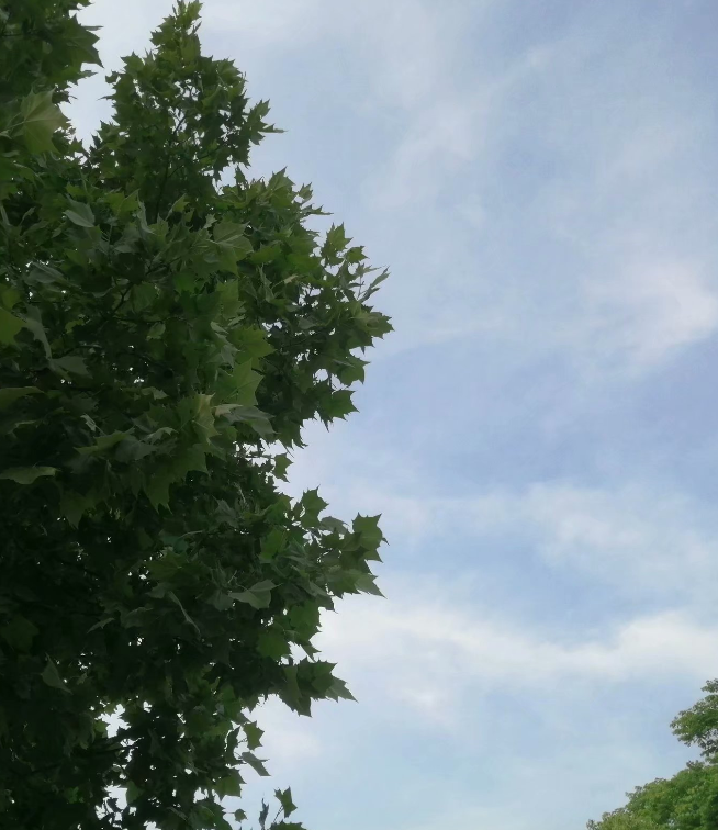 ��ͩ�� ��ͩ�� ���Ͻ��� 173316fwqg9yu3wcracw97