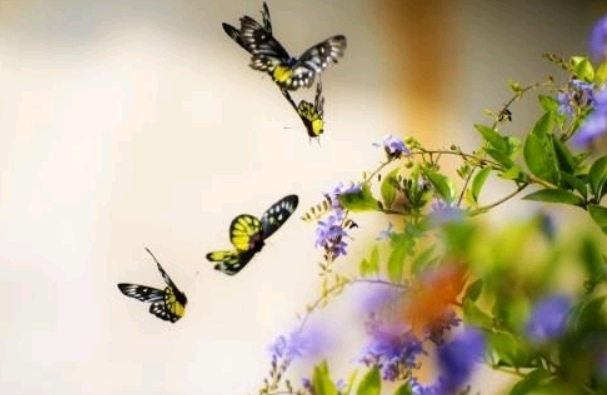  ף  Ͻ 174713svi7b0b0ogh9p3qz