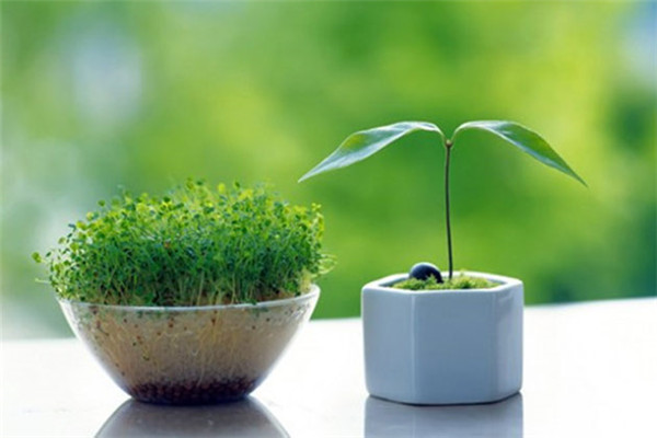   ԭ׷ 105810mvvxyj2jnogjnjov