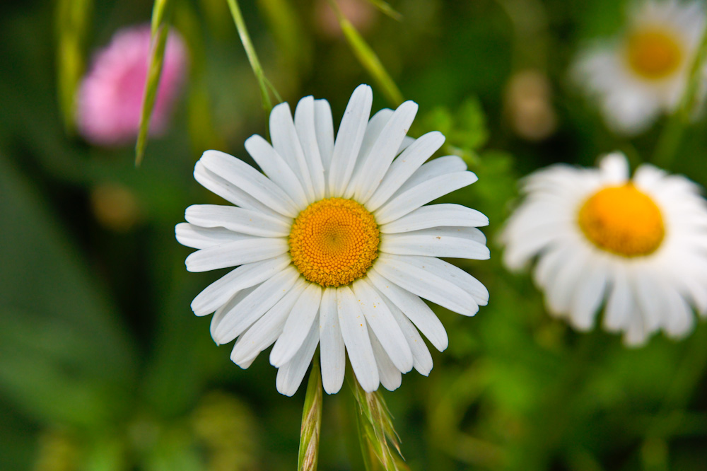 Щ Щ ִʫ 104002jyll7xlkk3j7k7zt