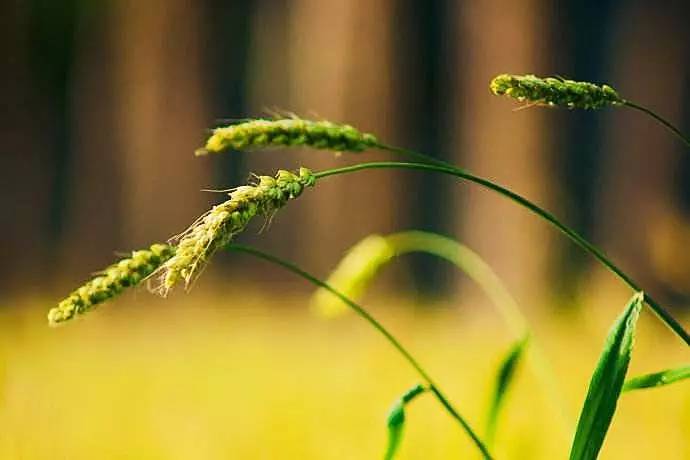 С ϣ  ԭ׷ 222510yyt6nyt7vy6vl0l7