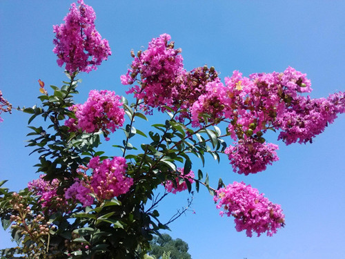 Ǿޱ֮----ۻͼ Ǿޱ֮ Ͻ 224632f0tw0vete99a7ea9