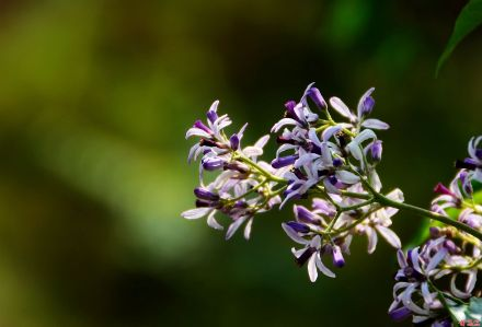 ּ鬻 ּ, ԭ׷ 185556s80i0sxes7ehnf1p