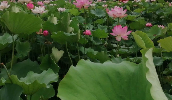 ĺɳ  Ͻ 153144cz9eeg9yy99y9m7g