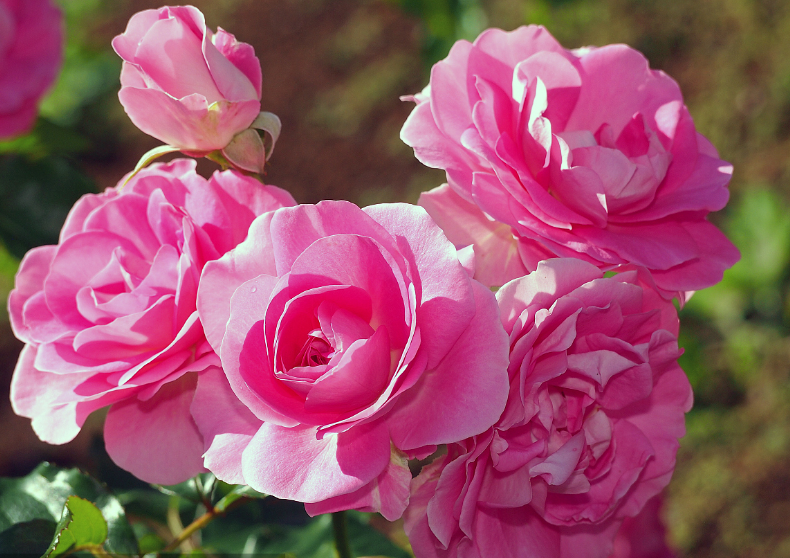   ִʫ 005918y4b2162bg1bbxbb1