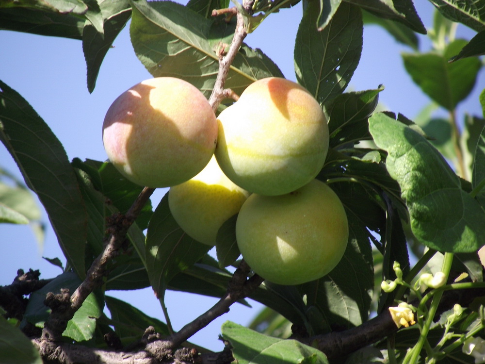 Ұ澰ģɽɣ Ұ,澰,ɽ, Ͻ 071507n3v6v7rd7bfqvq7s