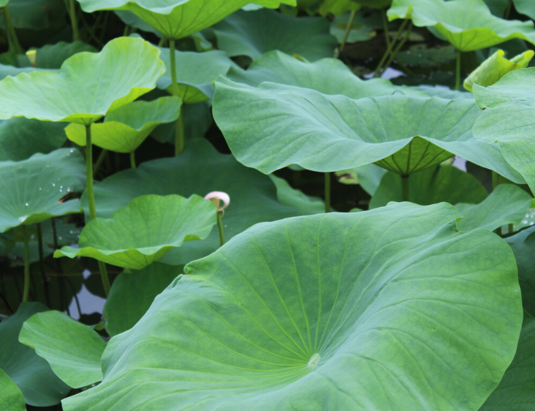 ߾ . ɷ ߾ Ͻ 235011a77jlffji2culo3l