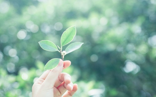 ʢĵķ ʢ, ԭ׷ 150416peeeta4vwjiz784v