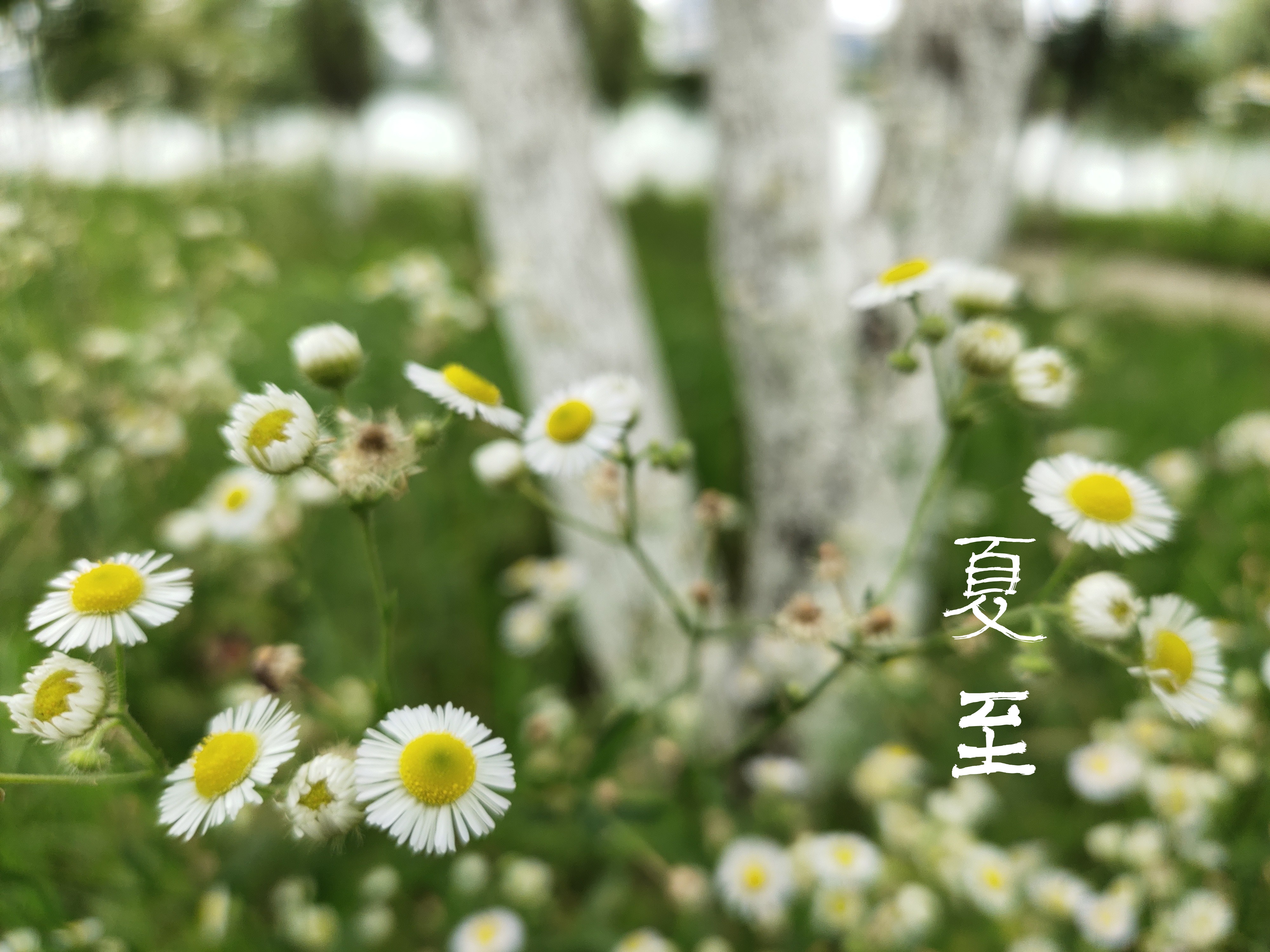 ɣӡ ɣ, ԭ׷ 225432ooa9t9u2oqobnre2