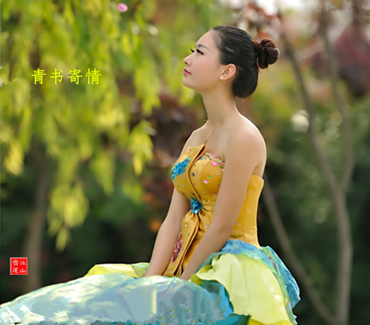   Ͻ 215550t4r0ww8383681300