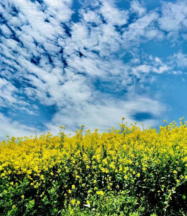   Ͻ 231608pc9deszc1qsuczqs