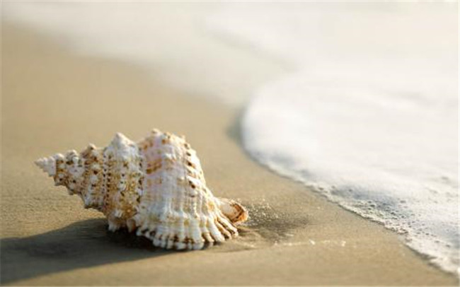   ɢ 183216e1rtq1l1ww141zmt