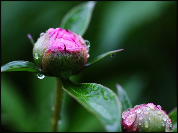 ����졤���� ����� ���Ͻ��� 073033g99gzz5sd8l7w5gf