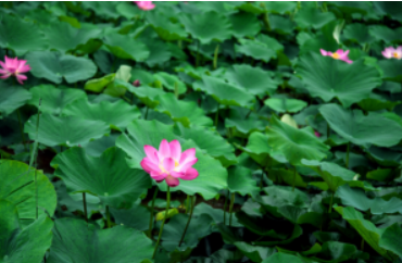  ף  Ͻ 232952nrzbjpalmsayjbzg