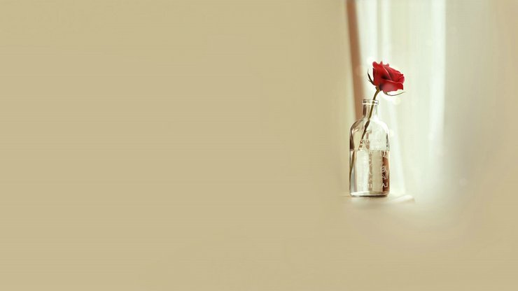 src=http _p16.qhimg.com_bdr_740___d__open360_love01105_2.jpg&refer=http _p16.q.jpg src=http _p16.qhimg.com_bdr_740___d__open360_love01105_2.jpg&refer=http _p16.q.jpg