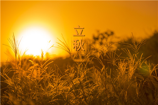 ԺҶһµʱ ,Ժ,,,ʱ ִʫ 104129wrwz9u9bllbywbaw