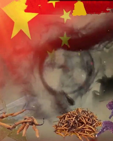 ٲݷ ٲ Ͻ 235522evu6u29hfu4iyf6i