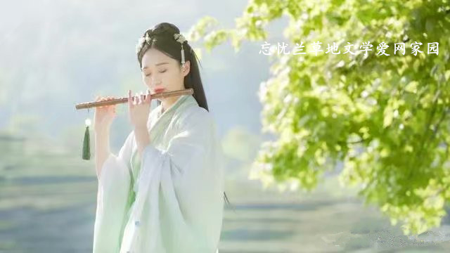 ˼  Ͻ 001108b5pjsar2arnebobd